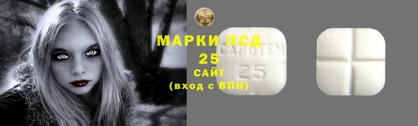 хмурый Елабуга