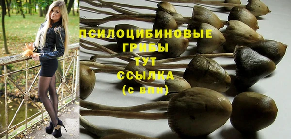 spice Елизово