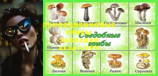 мяу мяу кристалл Ельня
