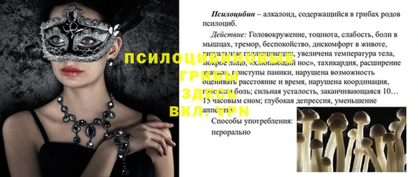 хмурый Елабуга