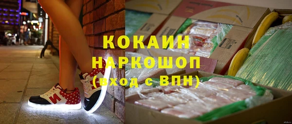 spice Елизово